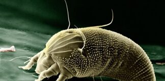 Ile kosztuje powiększenie biustu 2023? Ile kosztuje powiększenie biustu 2023?