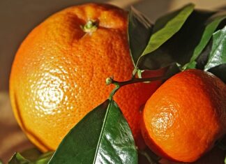 Jak poprawić jędrność skóry po 50? Jak poprawić jędrność skóry po 50?