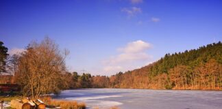 Przy jakiej temperaturze zamarza WD 40? Przy jakiej temperaturze zamarza WD 40?